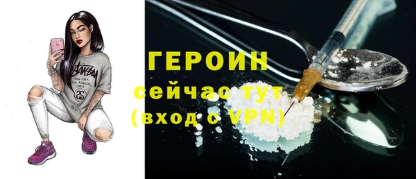 гидра Горняк