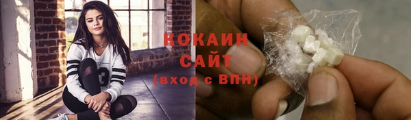 гидра Горняк