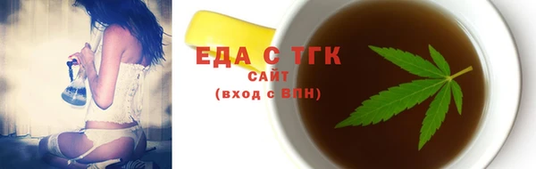 гидра Горняк