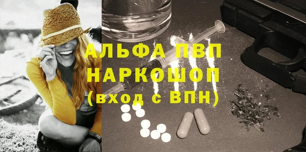 гидра Горняк