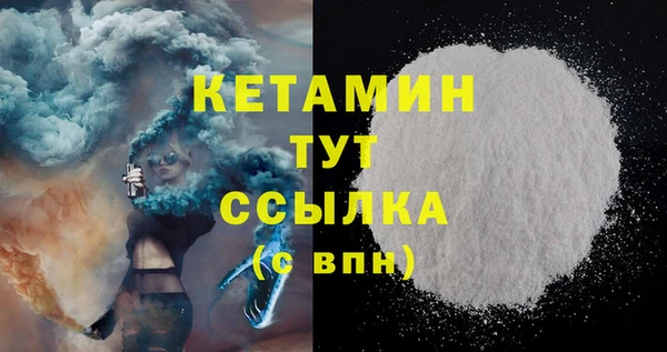 гидра Горняк