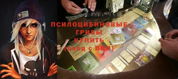 a pvp Гусиноозёрск