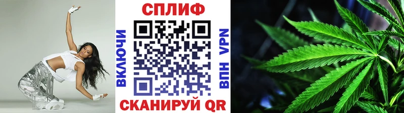 Бошки Шишки семена  Елабуга 